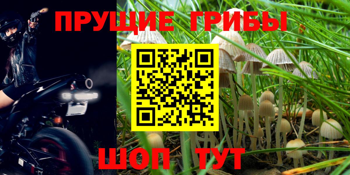 Псилоцибиновые грибы MAGIC MUSHROOMS Саранск