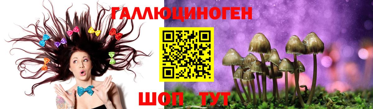 где найти наркотики  Вход с VPN  Саранск  Галлюциногенные грибы Psilocybine cubensis  Галлюциногенные грибы GOLDEN TEACHER 